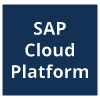 sap cloud platform icon