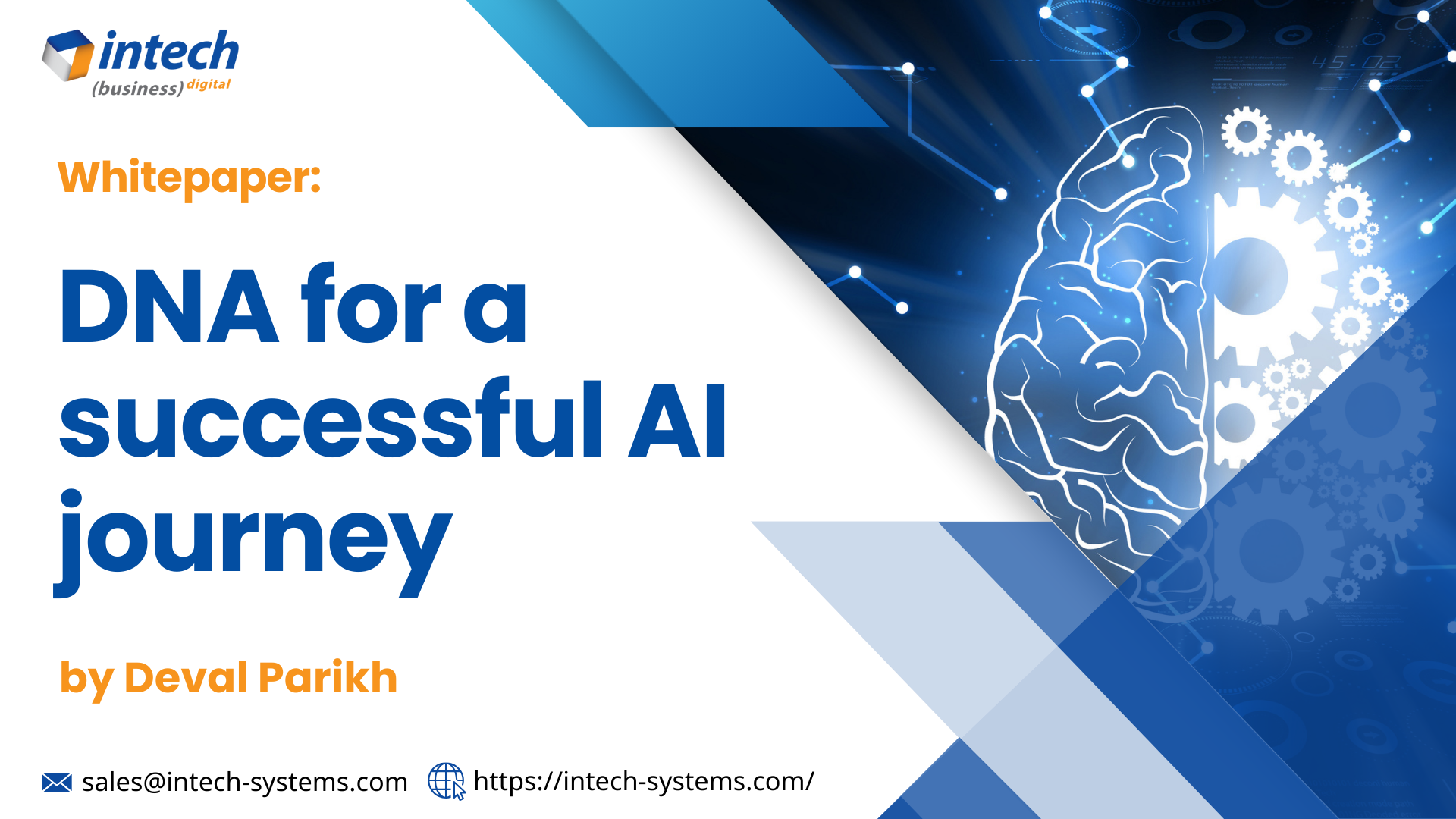 DNA for a Successful AI Journey